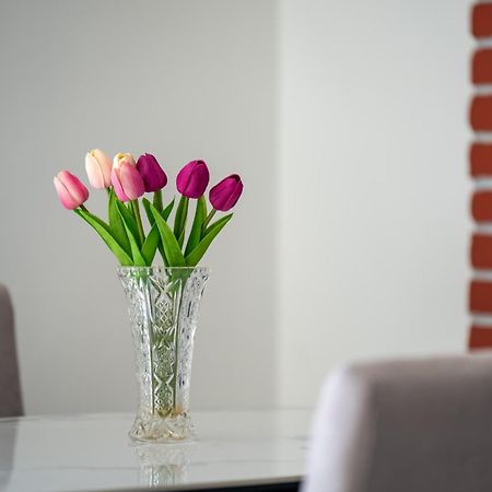 Apartment Gioia Ровин Екстериор снимка
