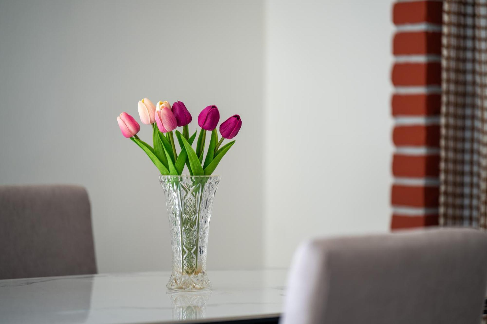 Apartment Gioia Ровин Екстериор снимка